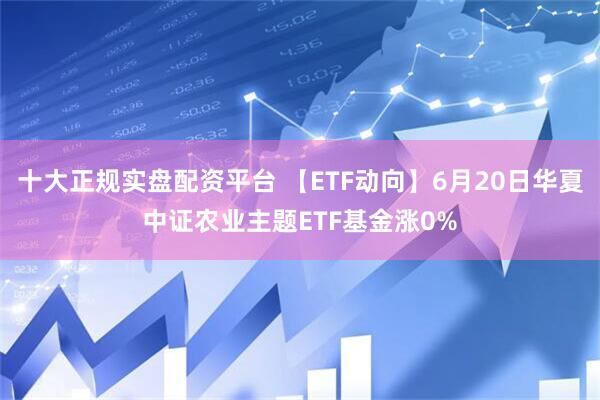 十大正规实盘配资平台 【ETF动向】6月20日华夏中证农业主题ETF基金涨0%