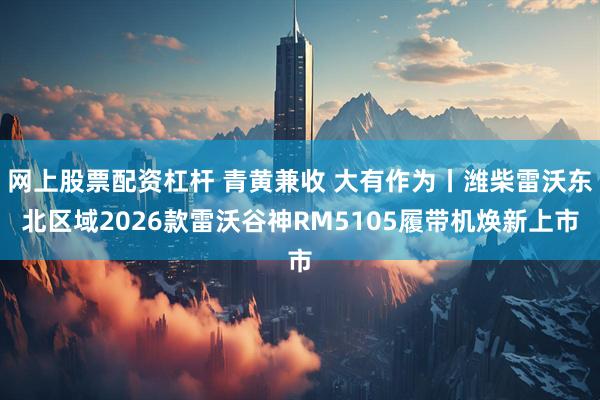 网上股票配资杠杆 青黄兼收 大有作为丨潍柴雷沃东北区域2026款雷沃谷神RM5105履带机焕新上市
