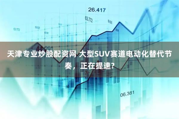 天津专业炒股配资网 大型SUV赛道电动化替代节奏，正在提速?